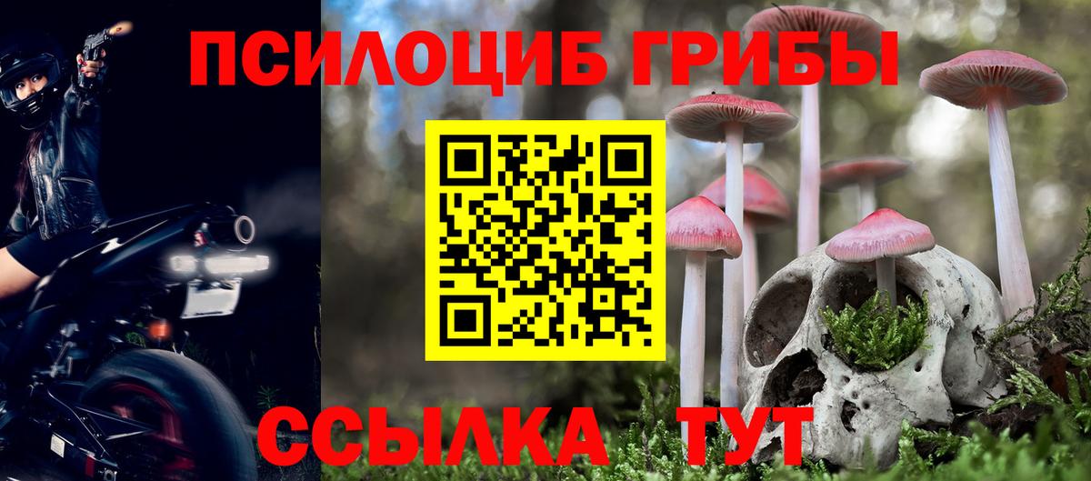 Псилоцибиновые грибы мицелий  Вход с VPN  Россошь 