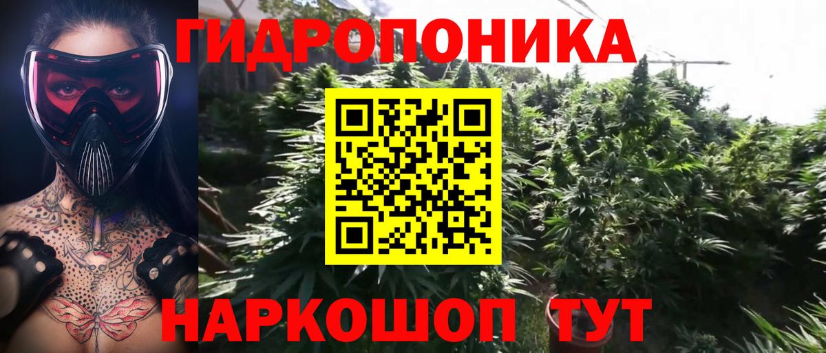 Каннабис ГИДРОПОН Россошь